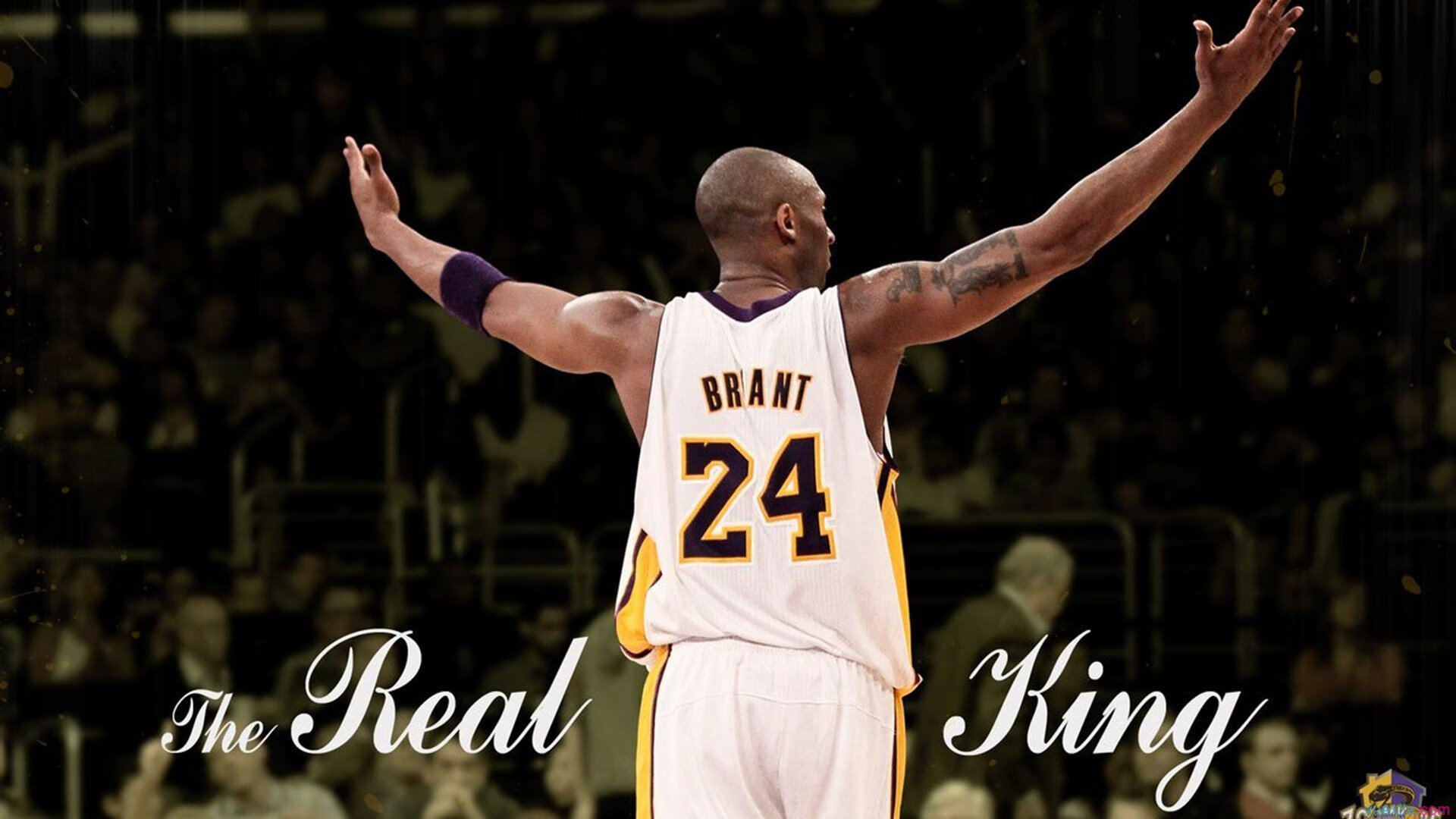 德罗巴：从非洲到欧冠冠军，魔兽的非洲骄傲，德罗巴百科